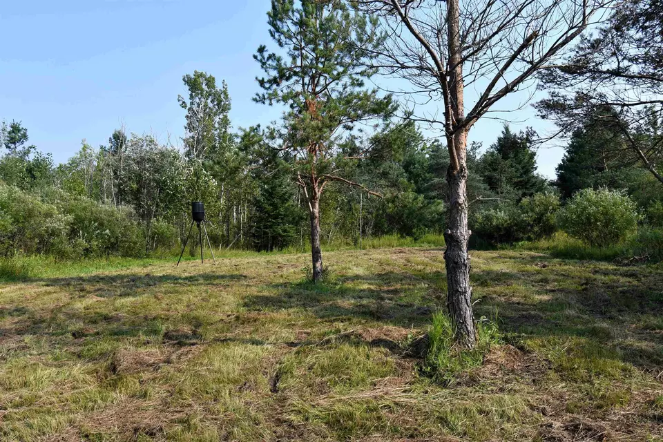  9537 Lakeview, Alanson, MI 49706 photo 16