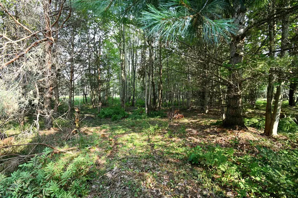  9537 Lakeview, Alanson, MI 49706 photo 28