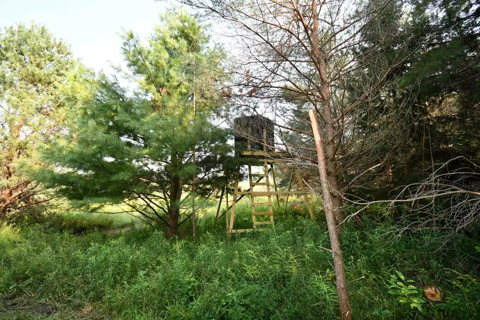  9537 Lakeview, Alanson, MI 49706 photo 14