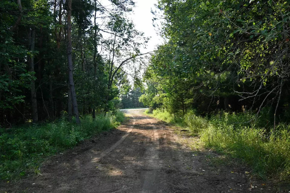  9537 Lakeview, Alanson, MI 49706 photo 38