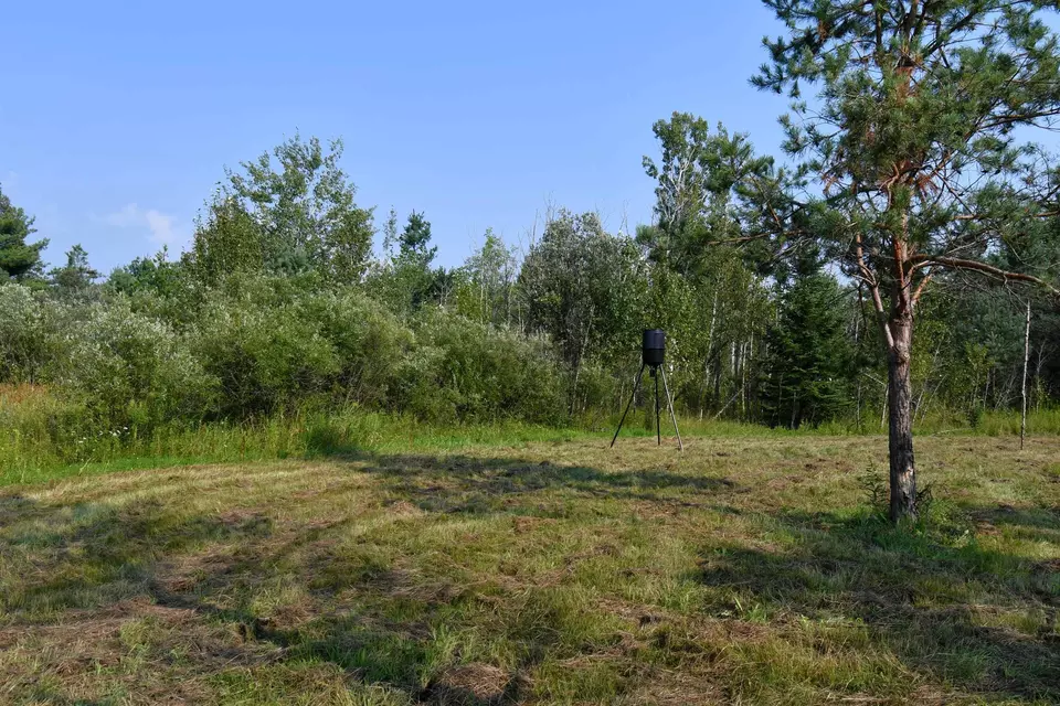  9537 Lakeview, Alanson, MI 49706 photo 23