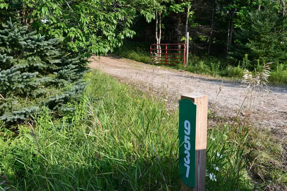  9537 Lakeview, Alanson, MI 49706 photo 2