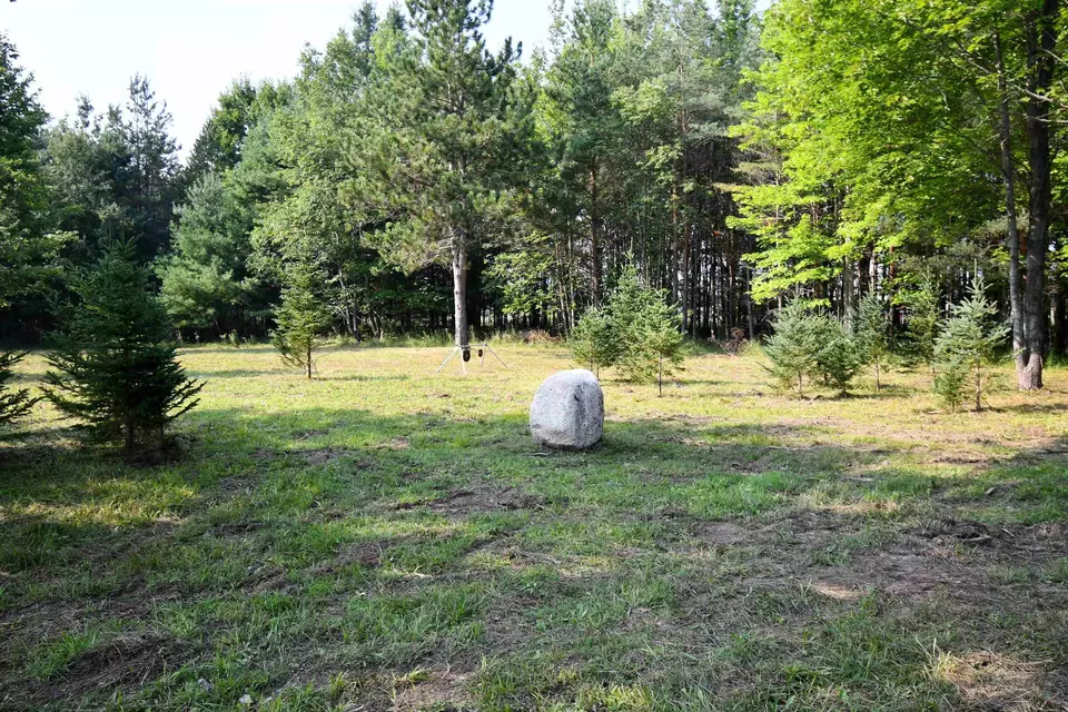  9537 Lakeview, Alanson, MI 49706 photo 7