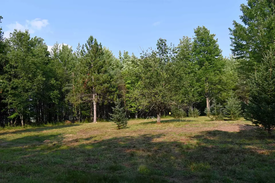  9537 Lakeview, Alanson, MI 49706 photo 33