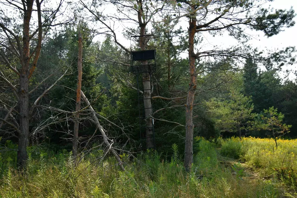  9537 Lakeview, Alanson, MI 49706 photo 18