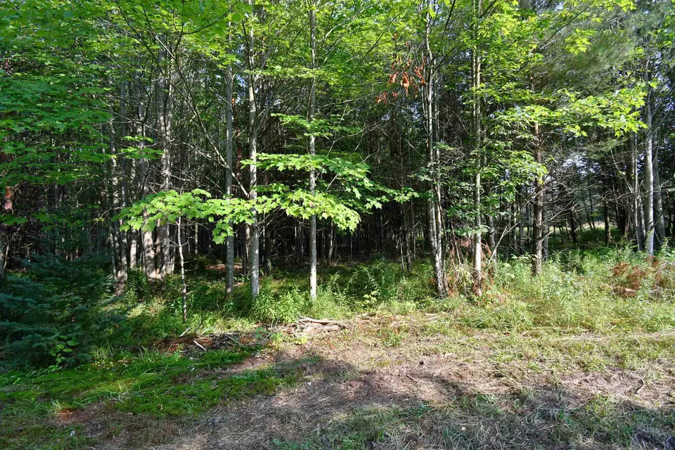  9537 Lakeview, Alanson, MI 49706 photo 9