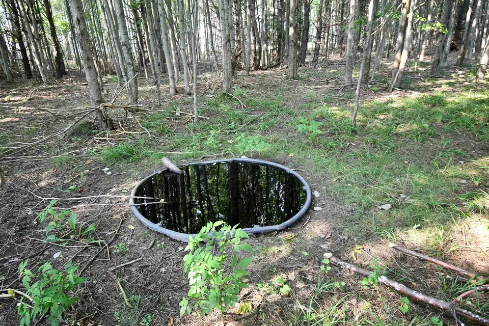  9537 Lakeview, Alanson, MI 49706 photo 31