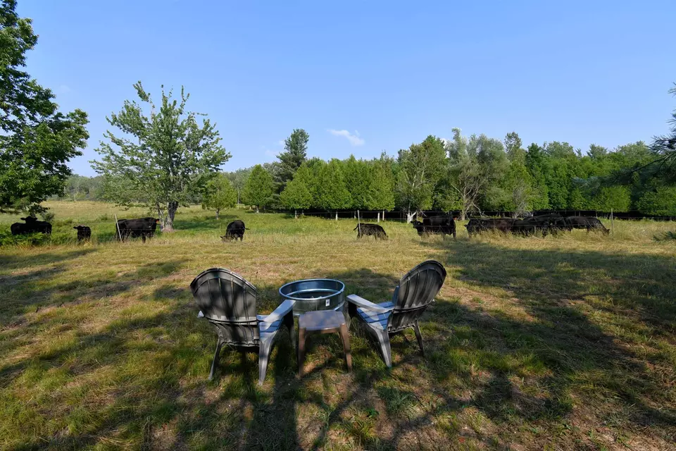  9537 Lakeview, Alanson, MI 49706 photo 26