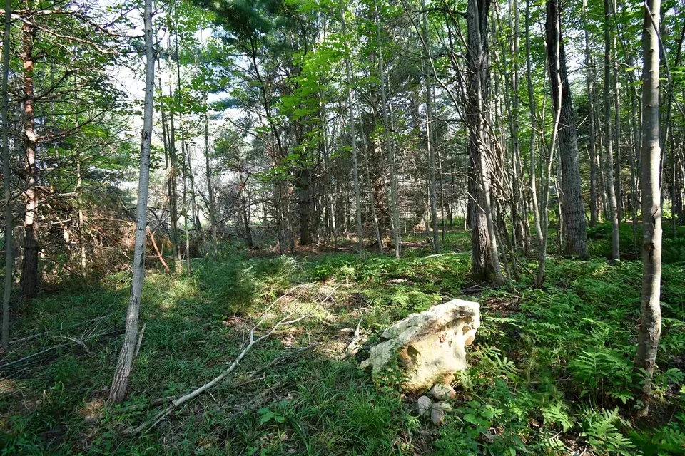  9537 Lakeview, Alanson, MI 49706 photo 13