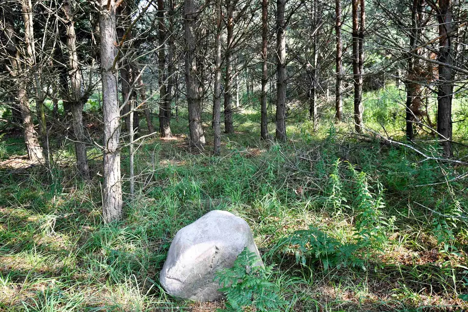  9537 Lakeview, Alanson, MI 49706 photo 24