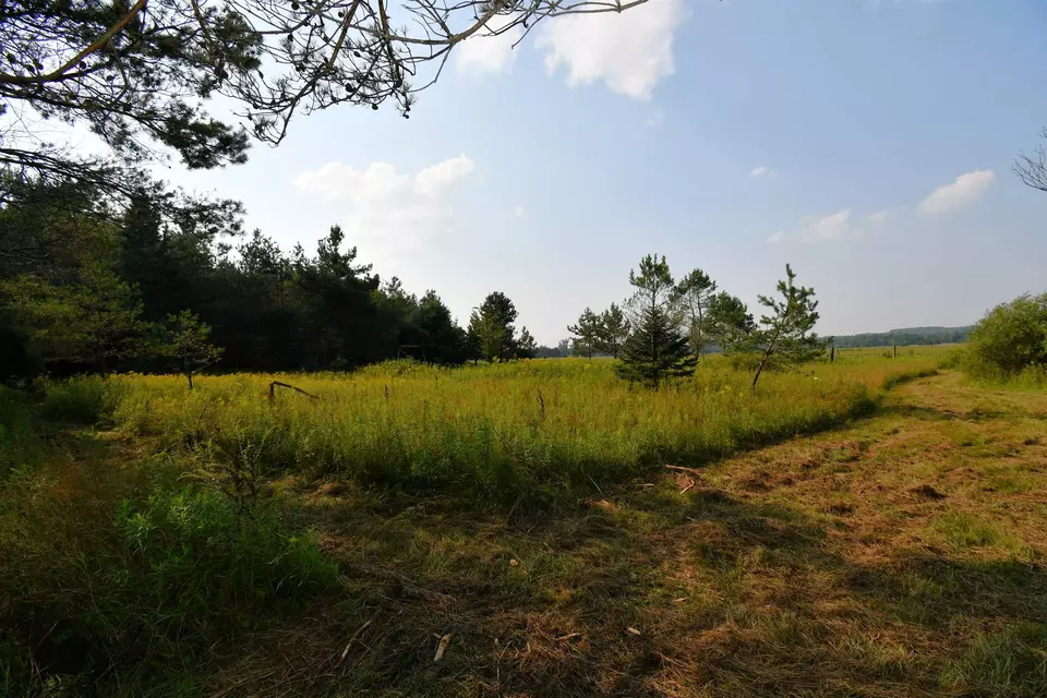  9537 Lakeview, Alanson, MI 49706 photo 19