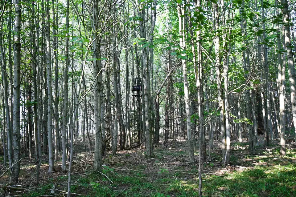  9537 Lakeview, Alanson, MI 49706 photo 30