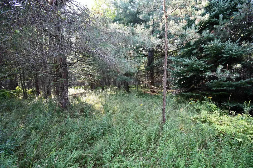  9537 Lakeview, Alanson, MI 49706 photo 27