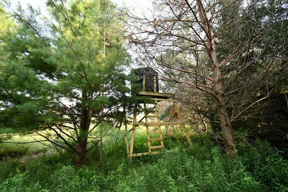  9537 Lakeview, Alanson, MI 49706 photo 15