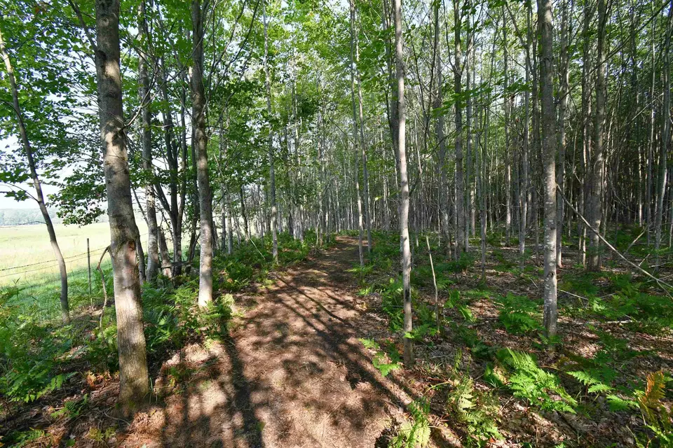  9537 Lakeview, Alanson, MI 49706 photo 10