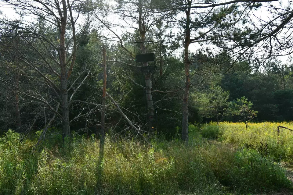  9537 Lakeview, Alanson, MI 49706 photo 17