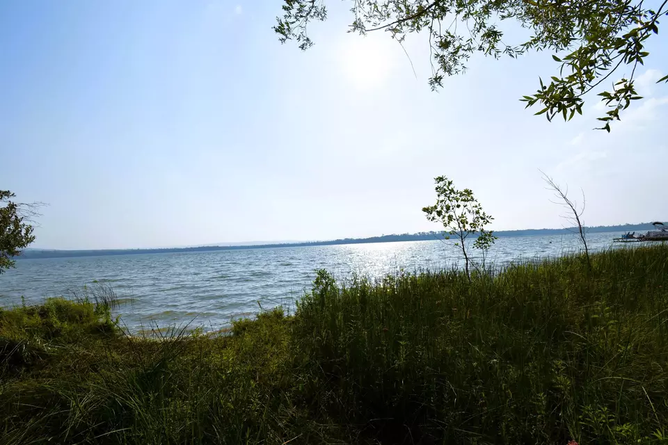  9537 Lakeview, Alanson, MI 49706 photo 39