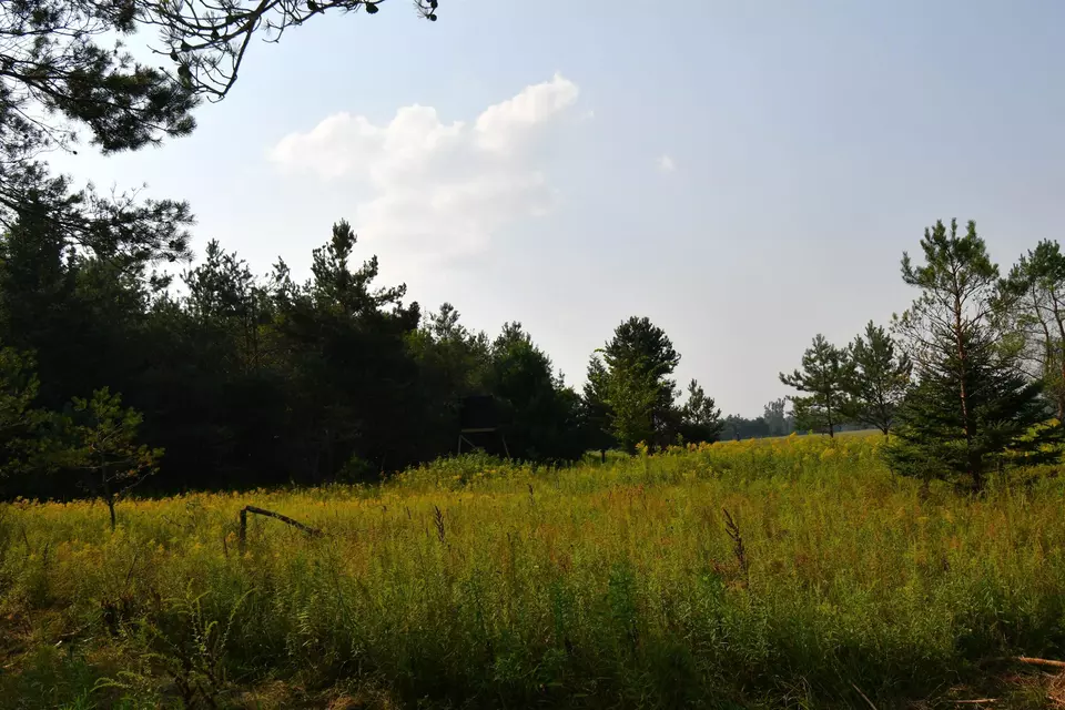  9537 Lakeview, Alanson, MI 49706 photo 21