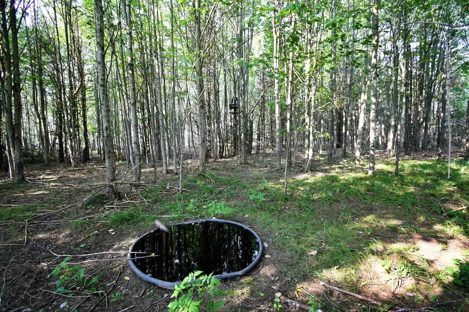  9537 Lakeview, Alanson, MI 49706 photo 29