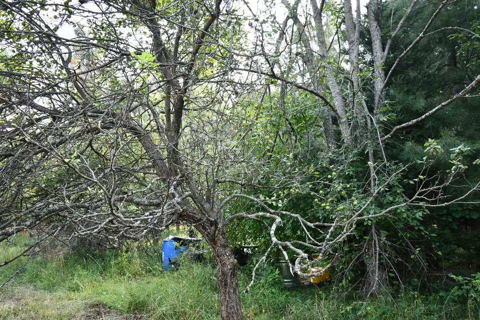  9537 Lakeview, Alanson, MI 49706 photo 35