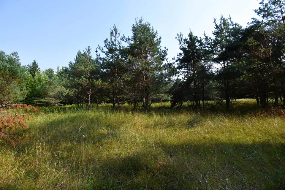  9537 Lakeview, Alanson, MI 49706 photo 22