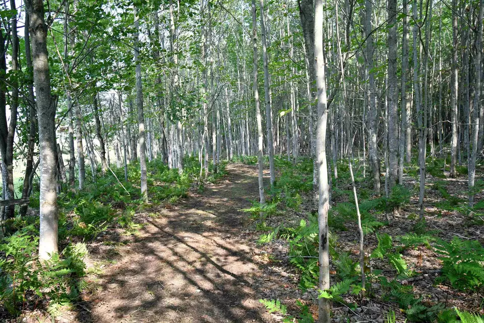  9537 Lakeview, Alanson, MI 49706 photo 11