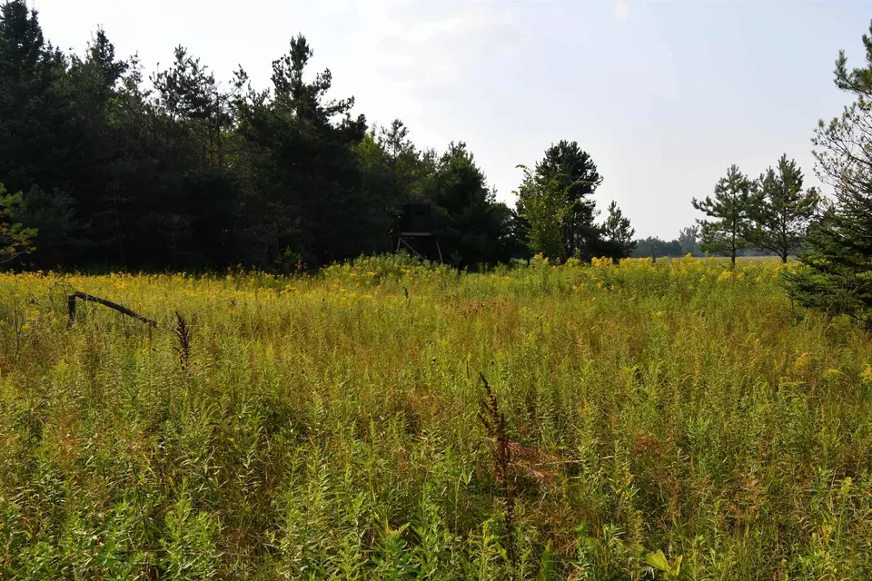  9537 Lakeview, Alanson, MI 49706 photo 20