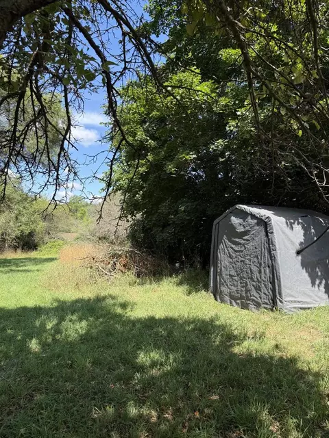 10351 E 12 34, Manton, MI 49663 photo 43
