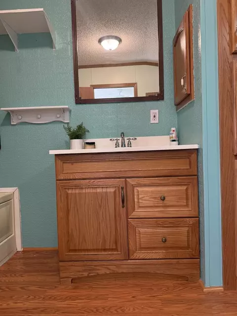 10351 E 12 34, Manton, MI 49663 photo 22
