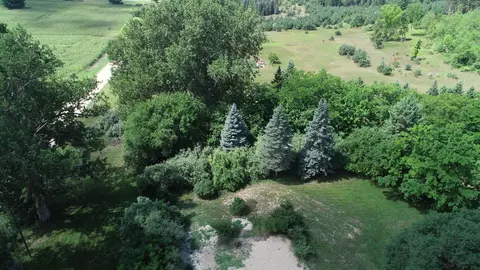 10351 E 12 34, Manton, MI 49663 photo 62
