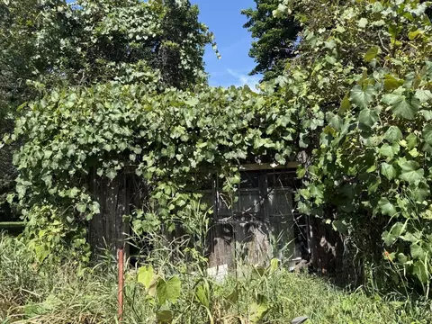10351 E 12 34, Manton, MI 49663 photo 36