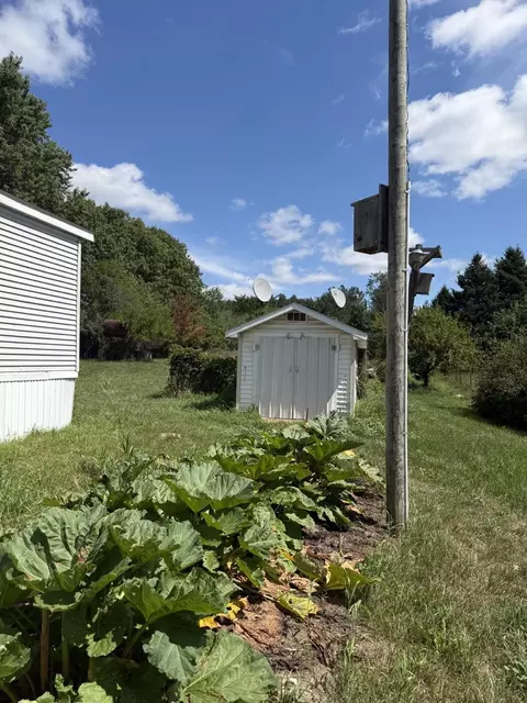 10351 E 12 34, Manton, MI 49663 photo 34