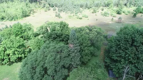 10351 E 12 34, Manton, MI 49663 photo 61