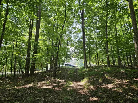 tbd Willsey, Traverse City, MI 49686