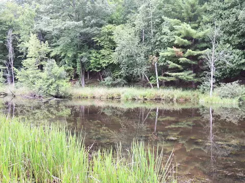 970 N Rolland, Lake Isabella, MI 48893