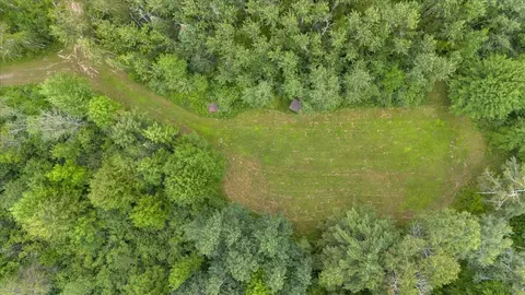 View/Area - 1369 County Line, Hale, MI 48739 photo 3 of 9