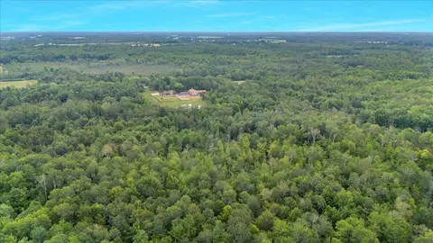 View/Area - 1369 County Line, Hale, MI 48739 photo 9 of 9
