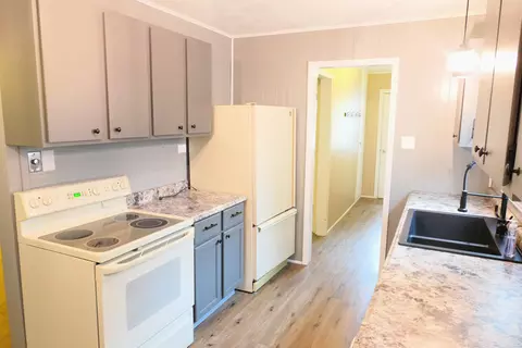 234 E Wright, Shepherd, MI 48883 photo 10