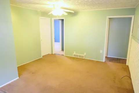 234 E Wright, Shepherd, MI 48883 photo 4
