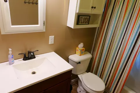 234 E Wright, Shepherd, MI 48883 photo 14