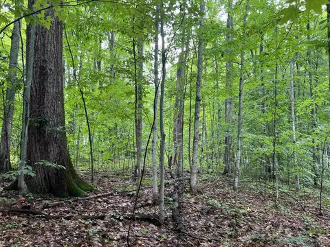 4656 E Cir, Kalkaska, MI 49646