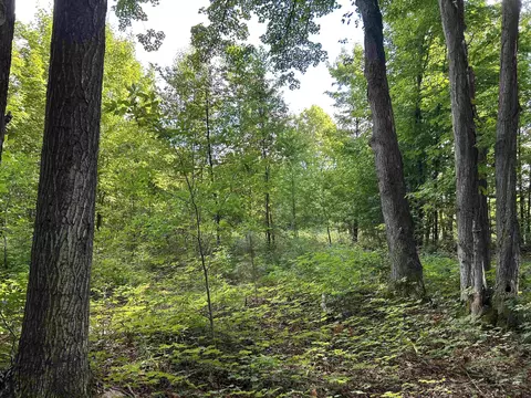 00 Walker, Beulah, MI 49617 photo 10