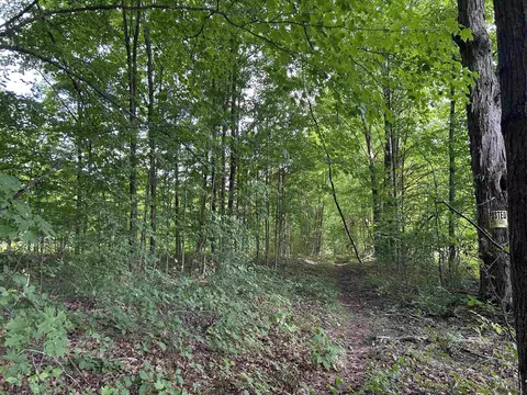 00 Walker, Beulah, MI 49617 photo 6