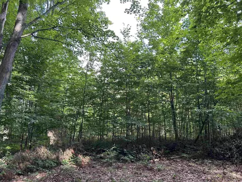 00 Walker, Beulah, MI 49617 photo 8