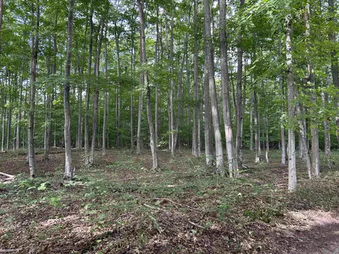 00 Walker, Beulah, MI 49617 photo 7