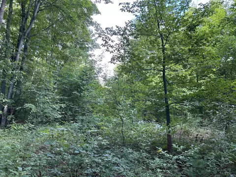 00 Walker, Beulah, MI 49617 photo 5