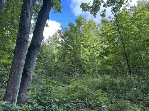 00 Walker, Beulah, MI 49617 photo 4