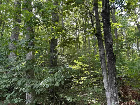 00 Walker, Beulah, MI 49617 photo 9