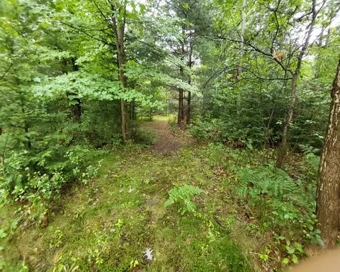 5310 Michigan #5310 N M-18, Roscommon, MI 48653