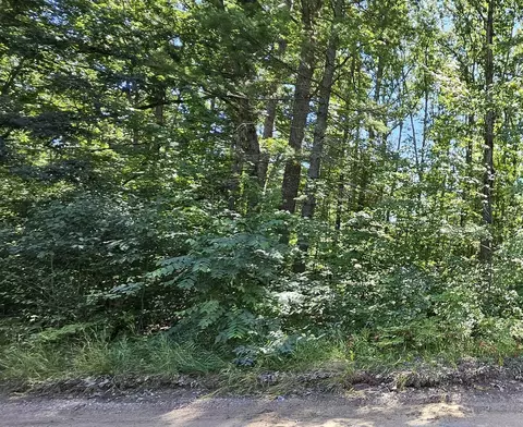 00 Merritt, Fife Lake, MI 49633